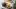 Best restaurants Shoreditch – Ozone Coffee