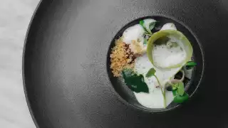 Duck tortellini, nettles, whey at Da Terra